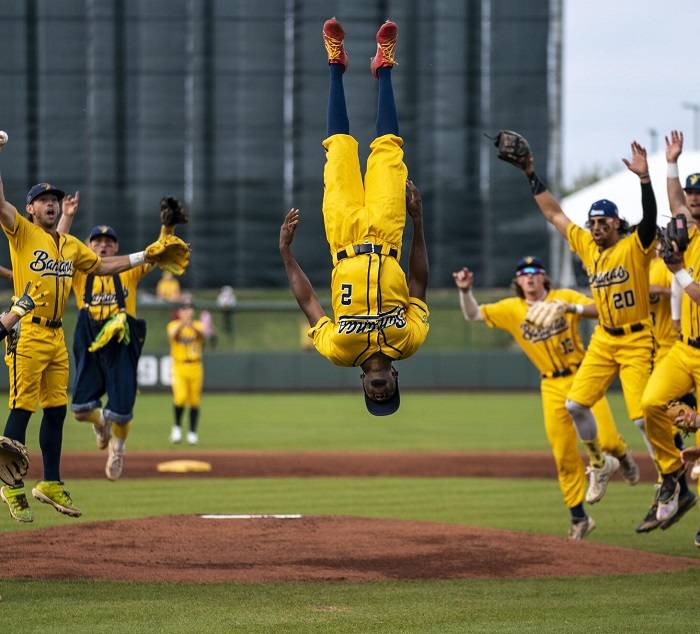 Challenges in Naming Minor League Teams