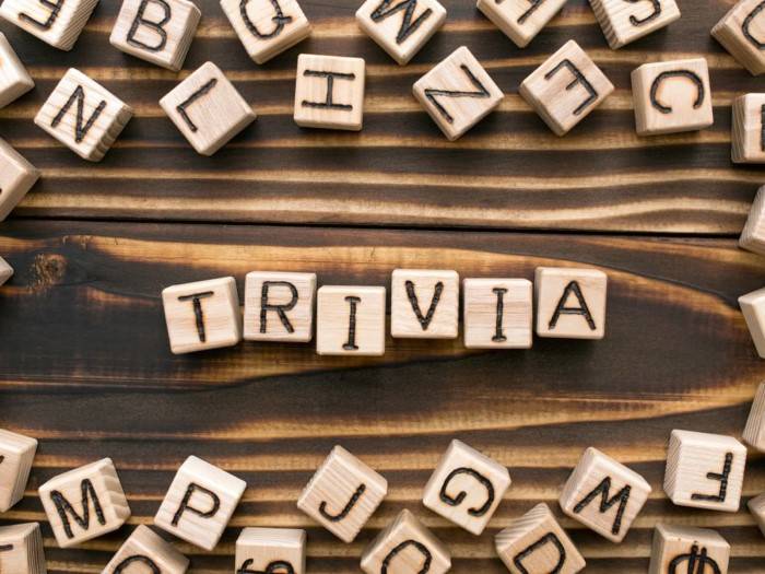 funny trivia team names1