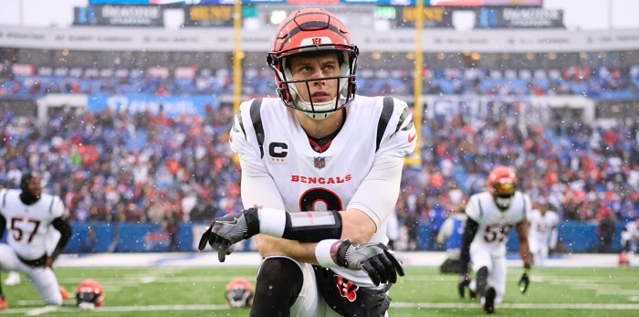 Fun Joe Burrow Fantasy Team Names