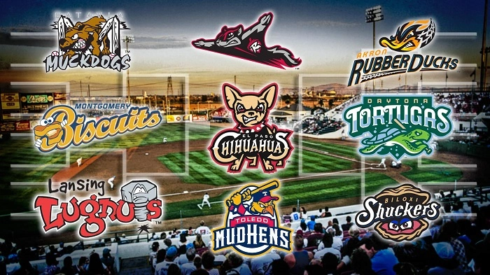 How to Choose the Best Baseball Team Name