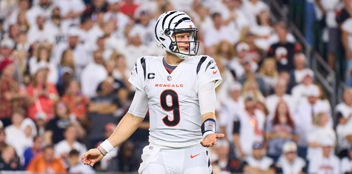Joe Burrow Fantasy Team Names with a Punny Twist