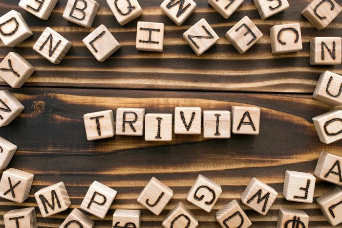 Why a Funny Quiz Team Name Matters