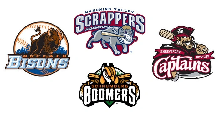 Why a Great Baseball Team Name Matters