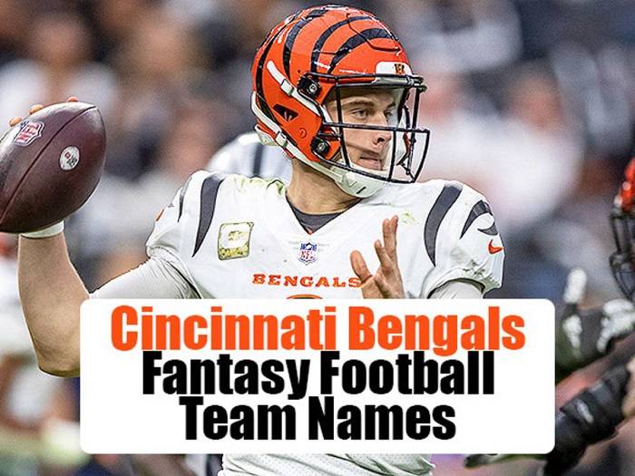 joe burrow fantasy team namedghh
