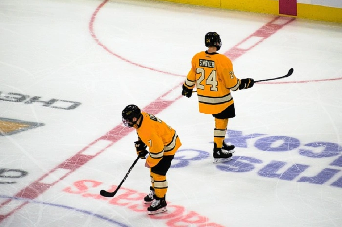 Cool and Competitive Hockey Team Names 1