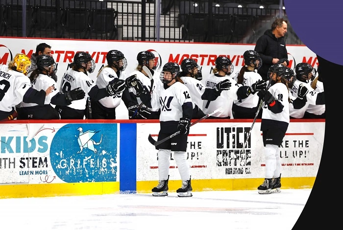 Fantasy MN Womens Hockey Team Names 1