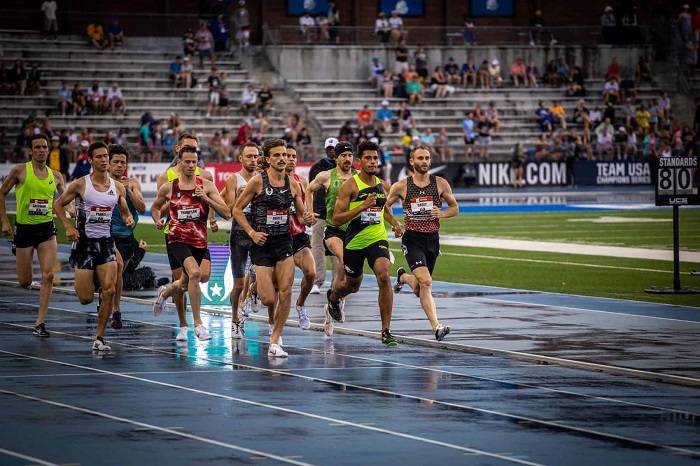 Hilarious Clever Picksc