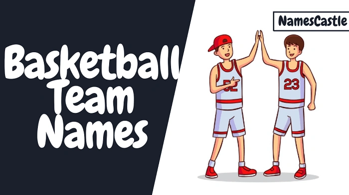 Basketball Team Names for Work Leagues 1