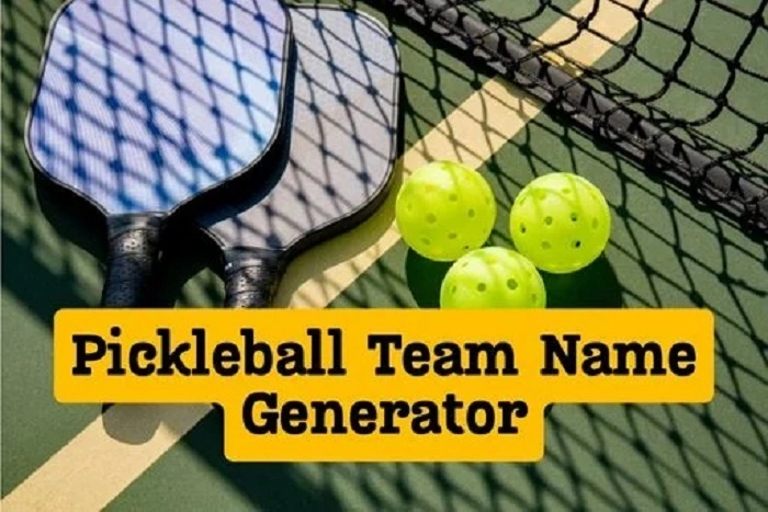 Funny Pickleball Team Names 1