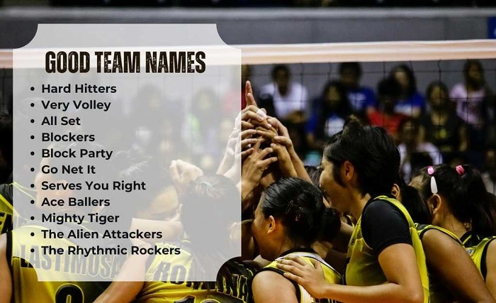 Funny Volleyball Team Names 1