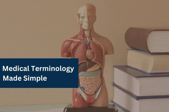 Dynia Medical Term: Meaning, Uses, and Examples Explained Clearly Medical Terminology Made Simple 2