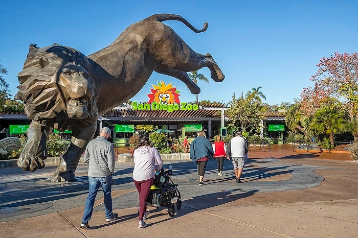 Pop Culture Inspired San Diego Names 1