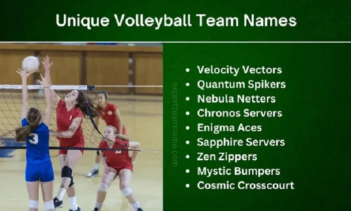 Volleyball Team Names for Friends 1