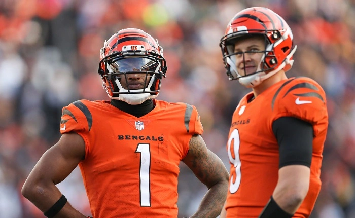 Funny Joe Mixon Fantasy Team Names