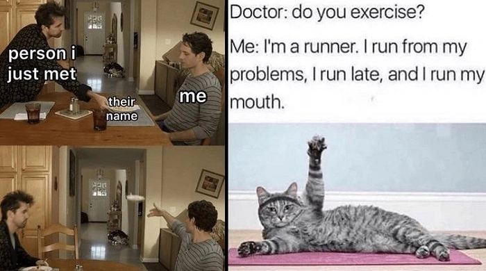 Self Deprecating or Meme Based Names 1