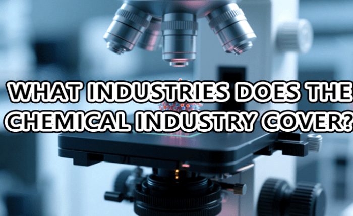 What Industries Does the Chemical Industry Cover? Screenshot 9