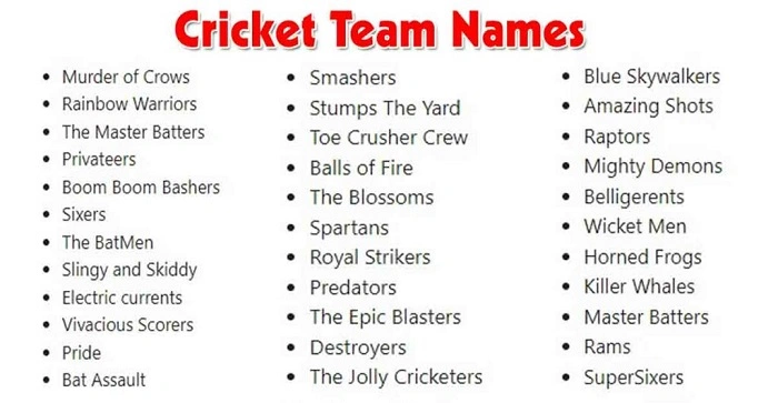 Funny Cricket WhatsApp Group Names 😂