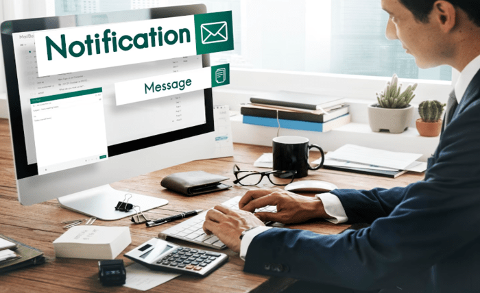 Not Your Average Builder: Email Coding Services for Brands Who Want More Screenshot 10