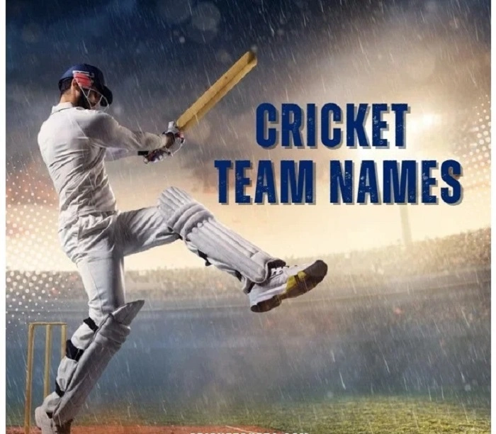 Short and Cool Cricket WhatsApp Group Names ✨
