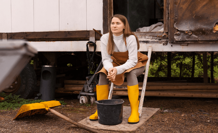 What Seasonal Maintenance Tips Do Experienced Shed Builders Suggest? 2