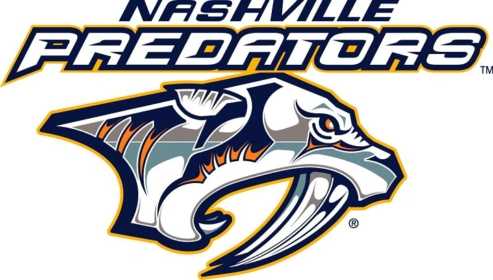 Nashville Team Name Ideas: Cool, Fun, and Full of Music City Vibes nashville team name ideas