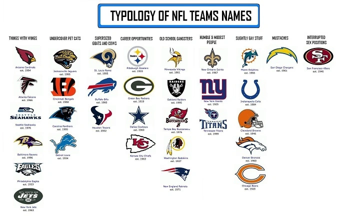 All NFL Teams With Animal Names
