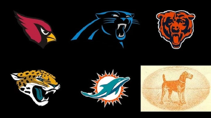 Animal in NFL Team Name: The Fun Guide to Famous, Fierce, and Creative Animal-Themed Teams animal in nfl team name