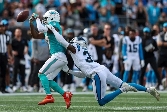 jaylen waddle fantasy team name 3