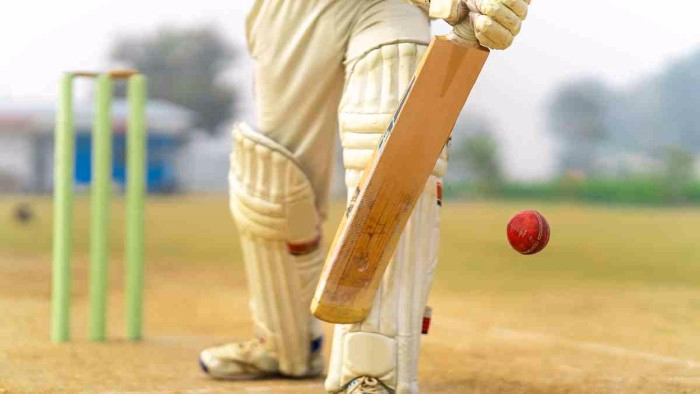 Aesthetic Cricket Group Name Ideas