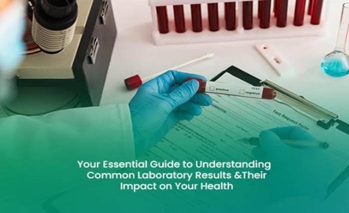 Your Essential Guide to Understanding Common Laboratory Results and Their Impact on Your Health Screenshot 5