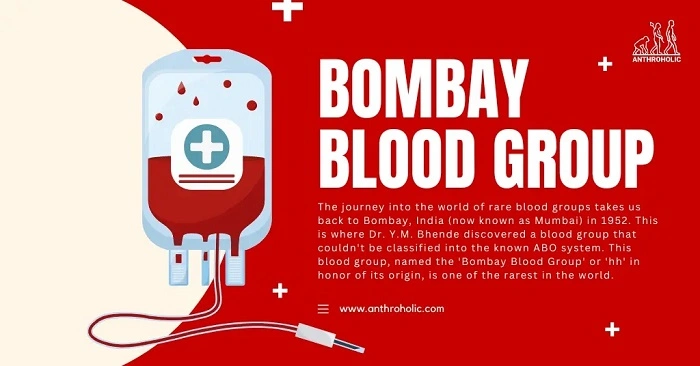 What Is the Bombay Blood Group