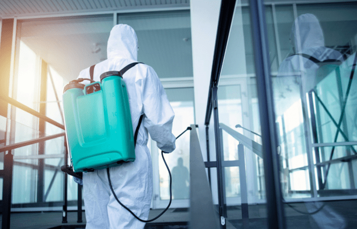 How Professional Pest Control Prevents Structural Damage to Homes Homes