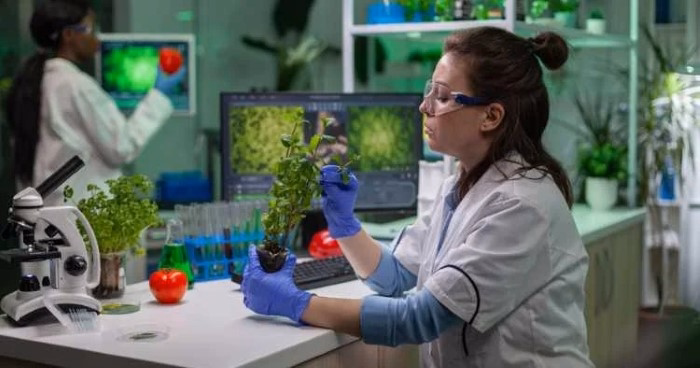 When Should You Change Your Biology Group Name