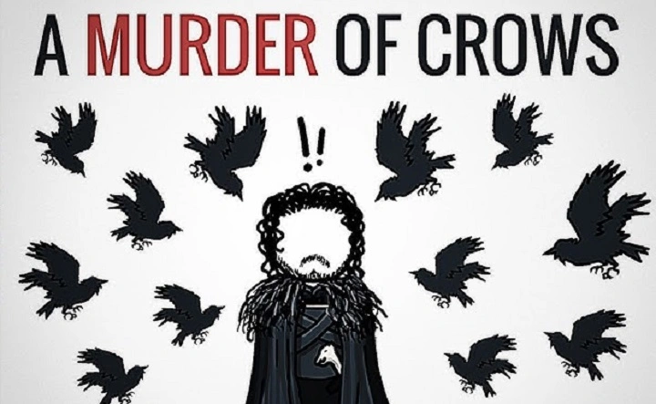 Group of Crows: Why a Murder of Crows Is One of the Most Fascinating Animal Names
