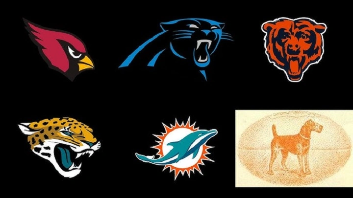 NFL Animals: Complete Guide to every Animal Mascot in the NFL League Essay animal in an nfl team name