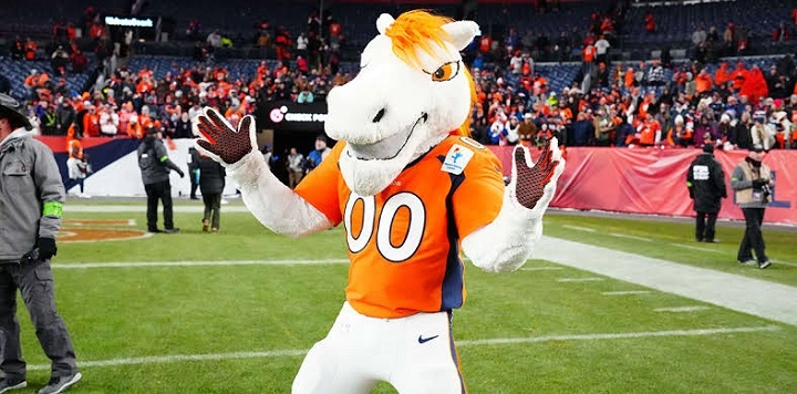 Denver Team Name Ideas: 100+ Funny, Cool, Creative and Catchy Names denver team name ideas