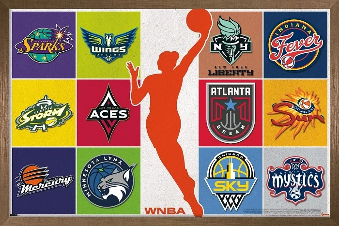 Sports Team Names Starting With N
